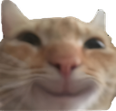 catsmile Discord emoji