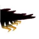 legkrilltail