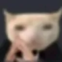 catwithsuit