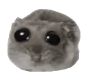 __