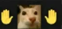 catcinema