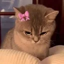 emoji_33