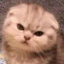 Lost_angry