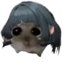 hamster_doe
