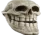 skullissue skullissue