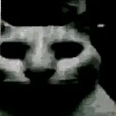 emoji_66 Discord Emoji | 𝗠𝘂𝗻𝘁𝗮𝗱𝗮 ~ 𝗚𝗿𝗲𝗻𝘃𝗶𝗹𝗹𝗲 🌃