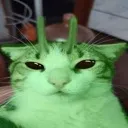 glorp