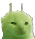 glorp