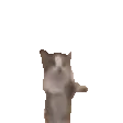 catJump
