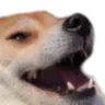 kekdoge kekdoge