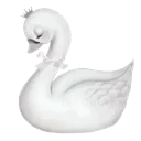 w_swan