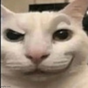 cat_freaky_eyebrow_intrigued_sus Discord emoji