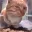 emoji_176