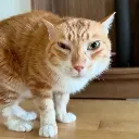 Suspicion