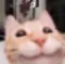 3_