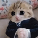 TEA_3catdeputat Discord emoji
