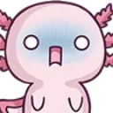 shockolotl shockolotl