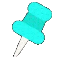 pin_desipunjab Discord sticker | Desi Punjab (Pakistani, Indian)