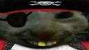 xddPirate