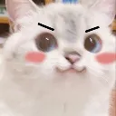catpos