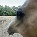 SideEye