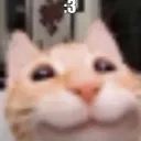 uwu uwu