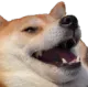 kekdog