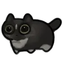 tiiddy