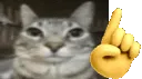 ErmIDontThinkSo ErmIDontThinkSo