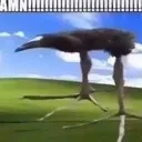 DAAAAYYYYYYYUUUUMMM