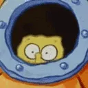 Hide