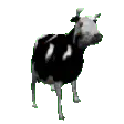 cowJAM