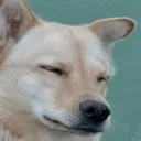 whiskeywtf