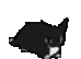 tuxedo_dance