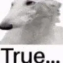 truezoi