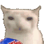 :catMunch: