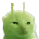 glorp