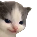 hehe