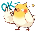 5808birdok