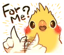 5003birbforme