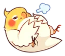9523birbfull