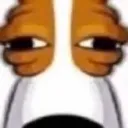 sus