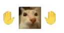 Mb