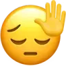 pensiveHALT pensiveHALT