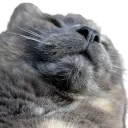tiltsy tiltsy