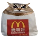 hashangy
