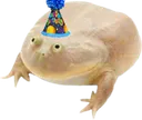 birthdayfrog