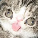 Car_Derp