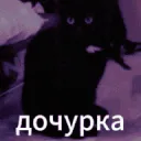 DO4YPKA DO4YPKA