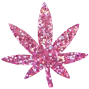 pinkmaryjane